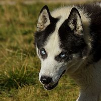 2012-09-09 15-03-01-1