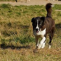 2012-09-09 15-14-41