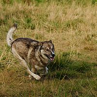 2012-09-09 15-30-50-1