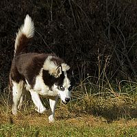 2012-09-09 15-40-07