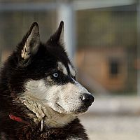 2012-09-09 15-43-48