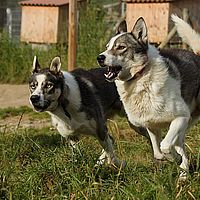2012-09-09 15-56-20-1