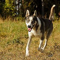 2012-09-12 10-13-15-1