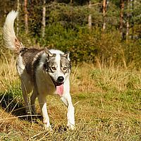 2012-09-12 10-13-28