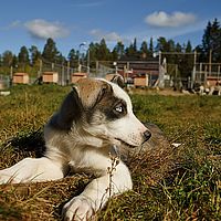 2012-09-12 12-37-51