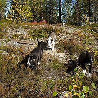 2012-09-13 11-57-03-1