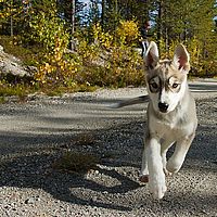 2012-09-13 11-57-36