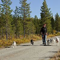 2012-09-13 11-59-07-5