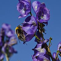 2012-09-08 12-43-06