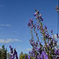 2012-09-08 12-44-28