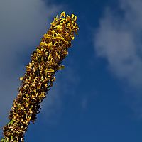 2012-09-08 14-39-53