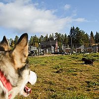2012-09-12 10-27-38-1