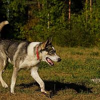2012-09-12 10-48-22