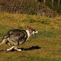 2012-09-12 10-49-03
