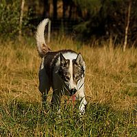 2012-09-12 10-53-40