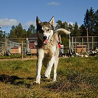 2012-09-12 12-22-31-2