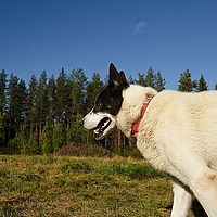 2012-09-12 12-23-55