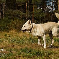 2012-09-12 13-11-28