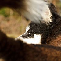 2012-09-12 13-14-03