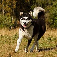 2012-09-12 13-21-50