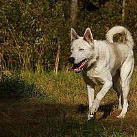 2012-09-12 13-24-44