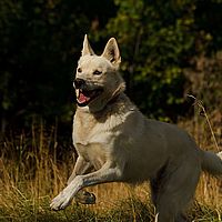 2012-09-12 13-25-02