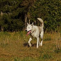 2012-09-12 13-28-21