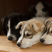 2012-09-06 07-49-25