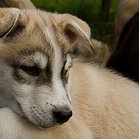 2012-09-06 13-10-50