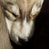 2012-09-06 13-13-49