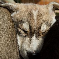 2012-09-06 13-14-14