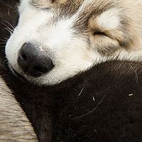 2012-09-06 13-22-23
