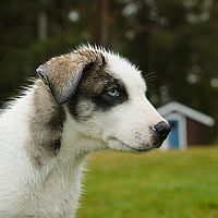 2012-09-07 13-02-37