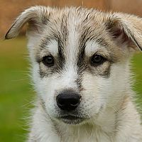 2012-09-07 13-07-36-2