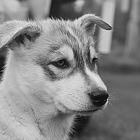 2012-09-07 13-21-58