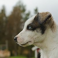 2012-09-07 13-31-34