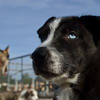 2012-09-08 10-44-02