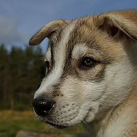 2012-09-08 10-57-09-5