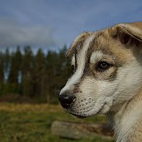 2012-09-08 10-57-09
