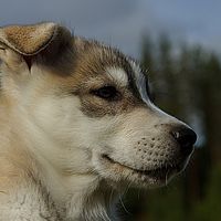 2012-09-08 11-03-02