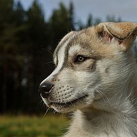 2012-09-08 11-03-07