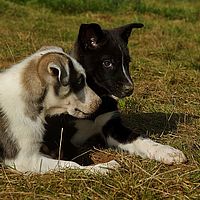 2012-09-08 11-12-00-2