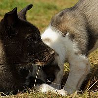 2012-09-08 11-14-14
