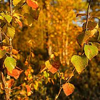 2012-09-09 06-35-22