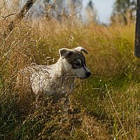 2012-09-09 11-34-19