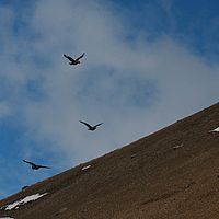 2009-03-02 13-56-51