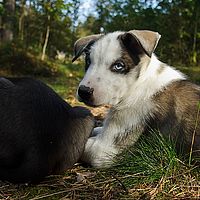 2012-09-09 12-21-13