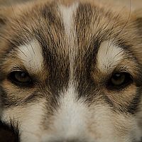 2012-09-10 11-45-33