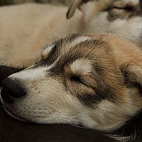 2012-09-10 11-46-30