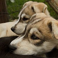 2012-09-10 11-46-55